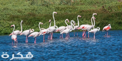 pexels photo 1543415