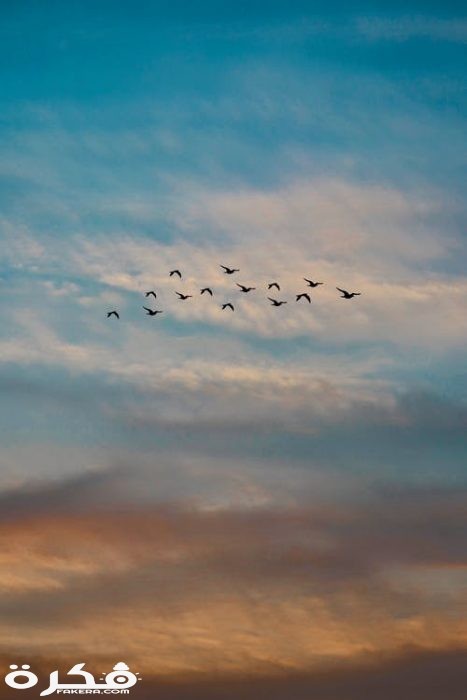 pexels photo 1553463