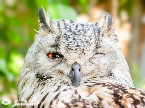 pexels photo 1564839