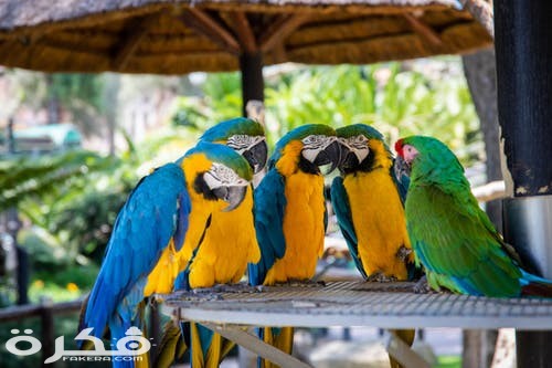 pexels photo 1599452