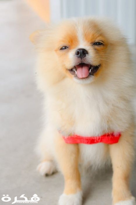 pexels photo 1619690