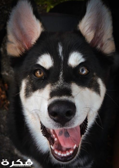 pexels photo 1672063