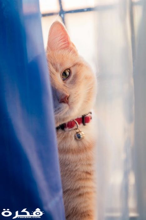 pexels photo 1828875