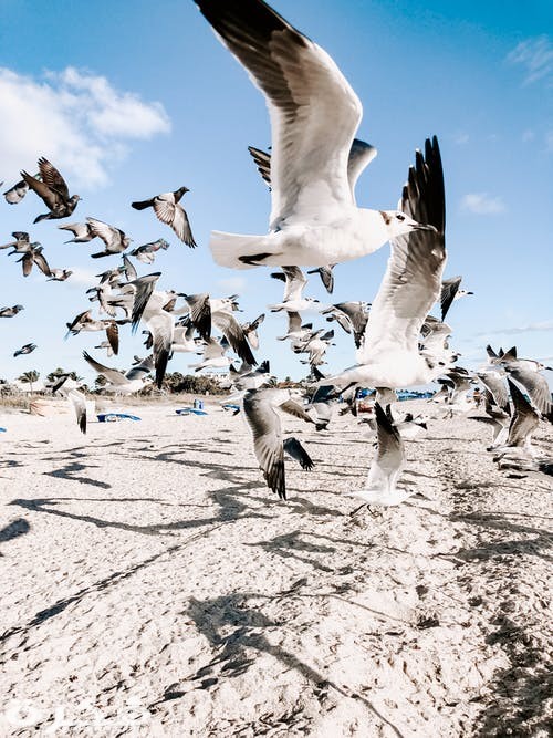 pexels photo 1974491