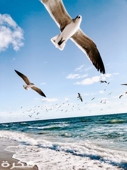 pexels photo 1974657