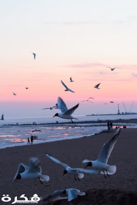 pexels photo 2111932