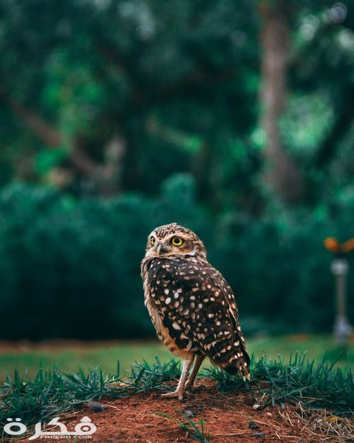 pexels photo 2115984