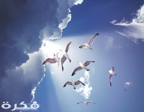 pexels photo 2266860