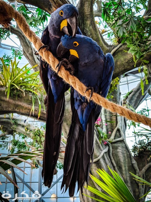 pexels photo 2491642