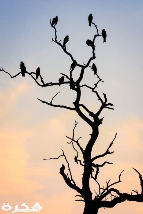 pexels photo 2676399