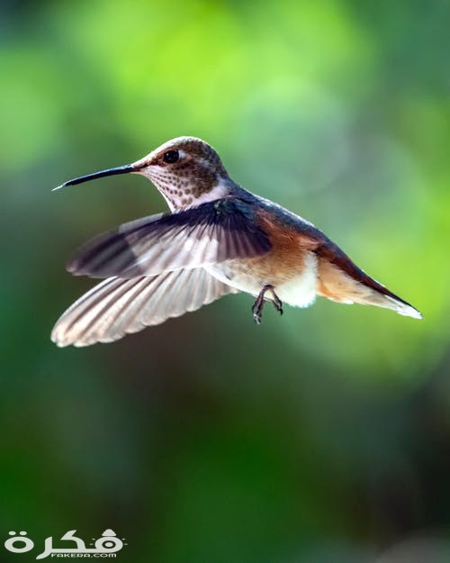 pexels photo 2679504