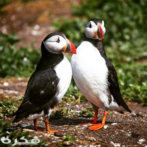 pexels photo 2710186