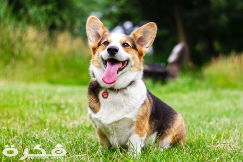 pexels photo 2737393