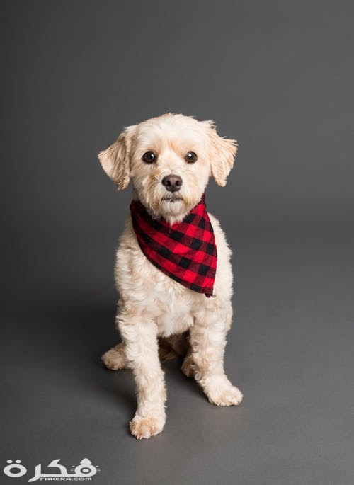 pexels photo 3361723