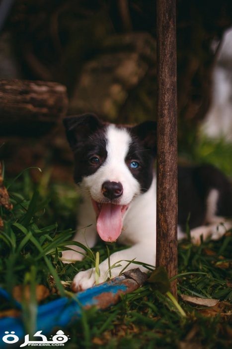 pexels photo 3908818