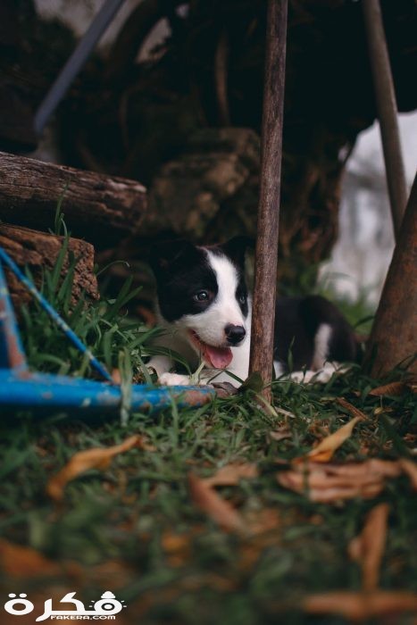 pexels photo 3908820