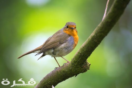 pexels photo 416179 1