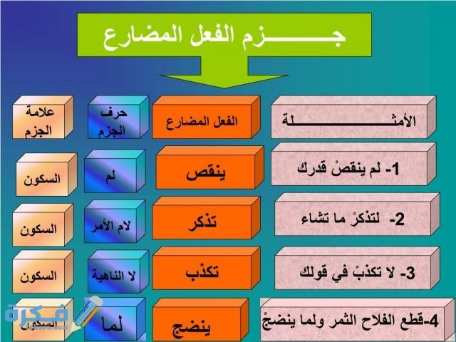 ما هي أدوات نصب الفعل المضارع