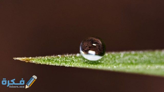 شرح ظاهرة التوتر السطحي شرح ظاهرة التوتر السطحي