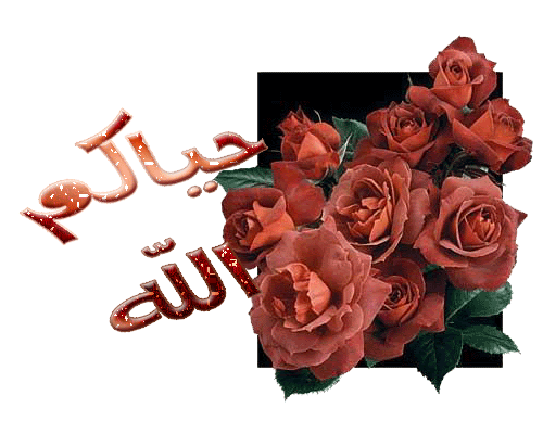 الرد على ارحب unnamed