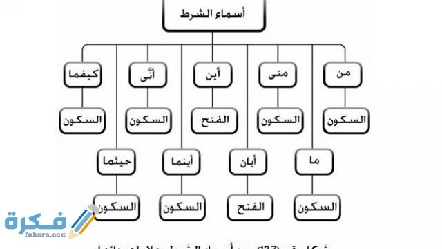 ما هي أدوات الشرط