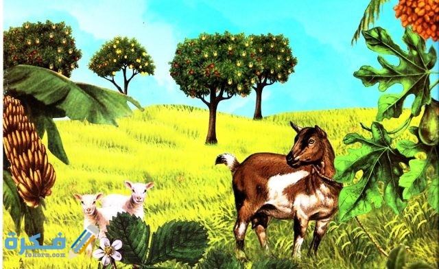 شرح درس غرائب المخلوقات شرح درس غرائب المخلوقات