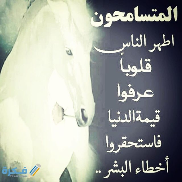 اجمل ابيات شعر عن التسامح والعفو