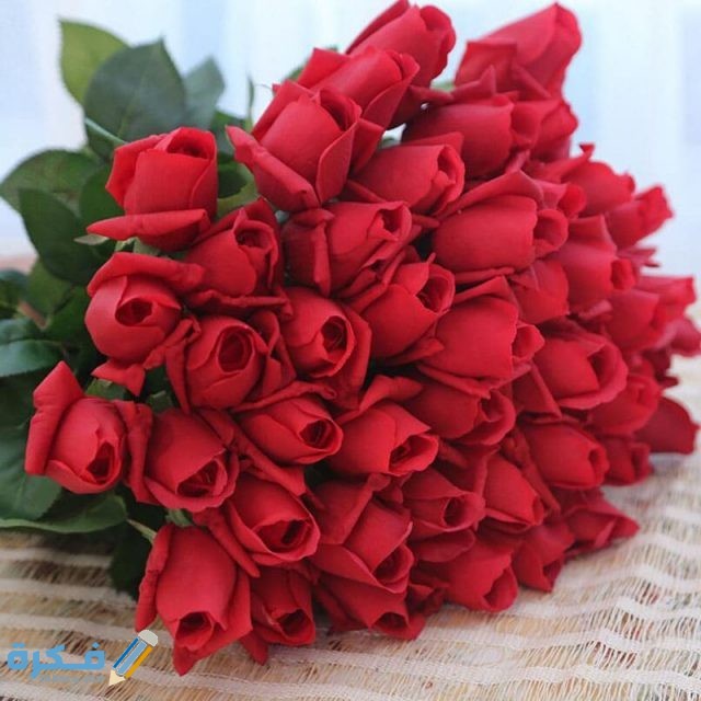 صور هدايا عيد ميلاد