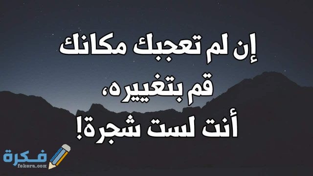 عبارات عن أناقة الملابس