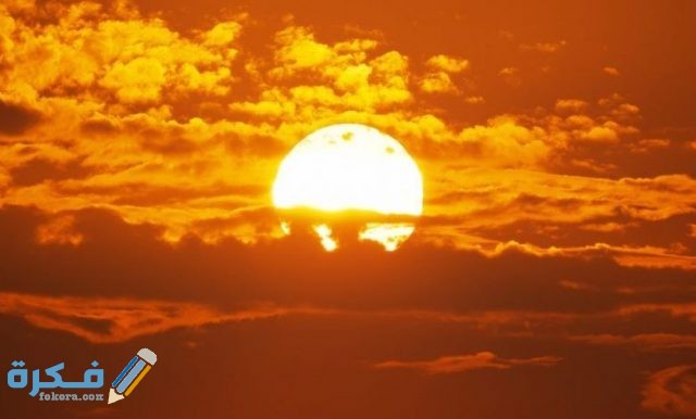 تدخل الطاقة أول مرة في نظام بيئي لبركة ما