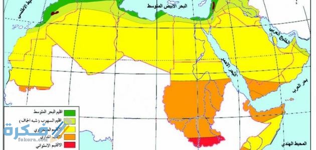 الإقليم الذي يرتبط وجوده بالمناطق الرطبة الغزيرة الأمطار هو