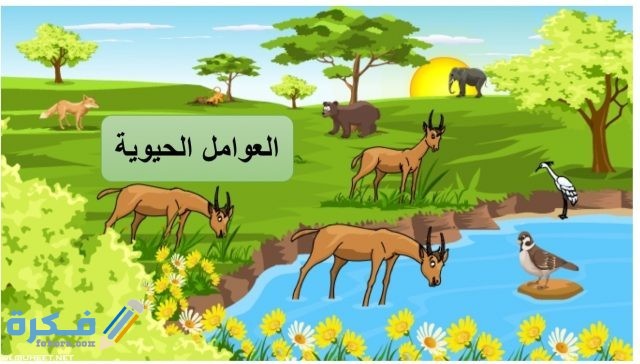 قارن بين العوامل الحيوية واللاحيوية لنبات او حيوان في مجتمعك