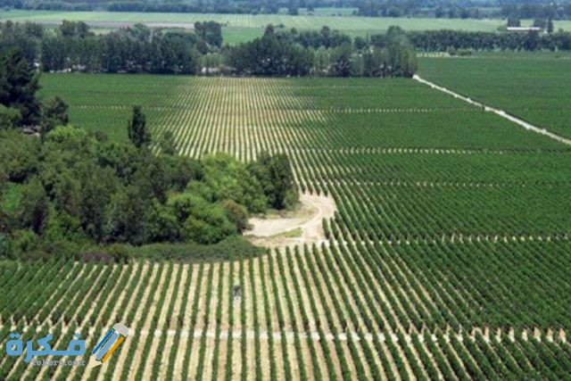 تحويل من متر إلي فدان