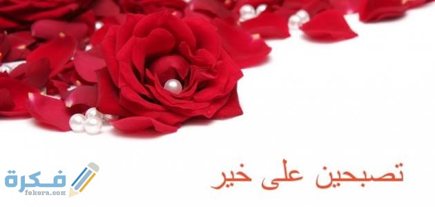 تصبحين على خير