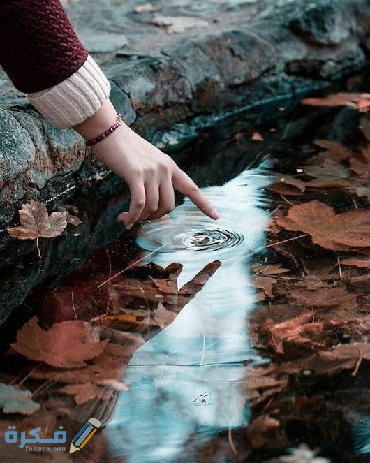 صور للواتساب