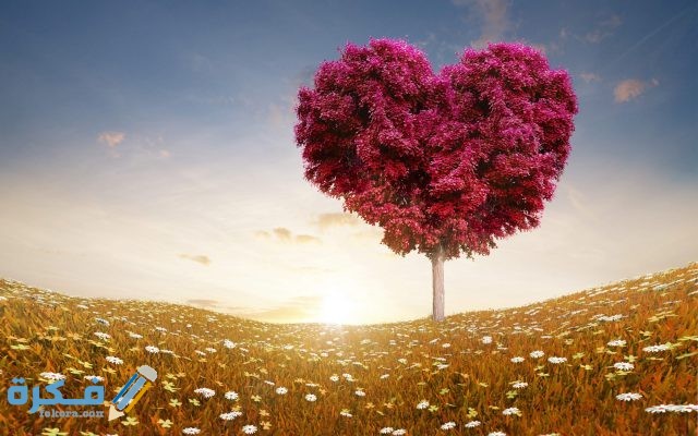 صور للواتساب