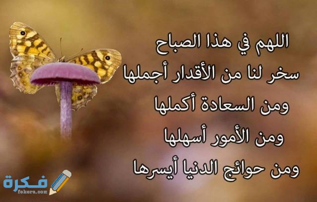 صور مكتوب عليها عبارات جميله