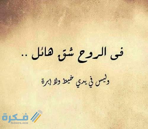 كلام يكتب على الصور الشخصية جميل