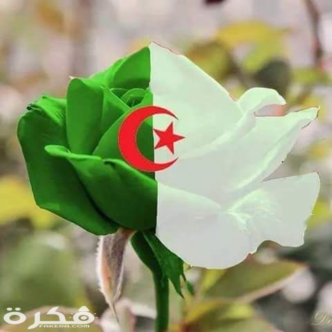 علم الجزائر 3