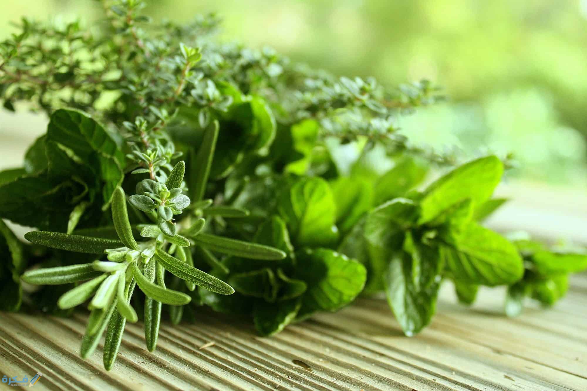 كيف يصنع البنج