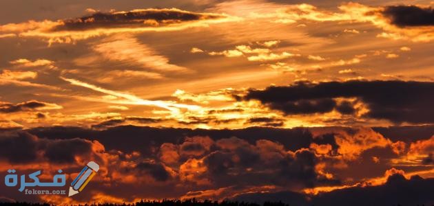 وضعية ادماجية عن دلائل قدرة الله 