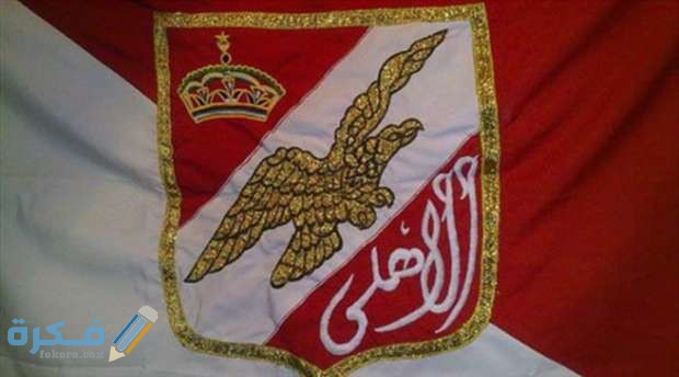 12064021411588556626 1