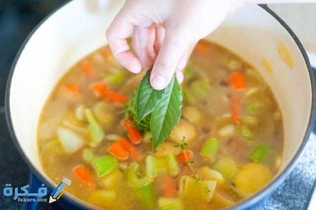 مدة هضم شوربة الخضار في المعدة