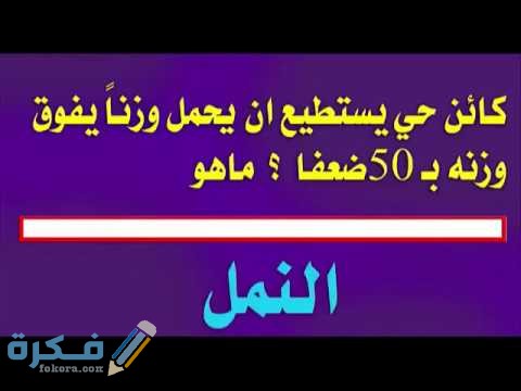 فوازير رياضية وحلها 2021 فوازير رياضية وحلها 2021