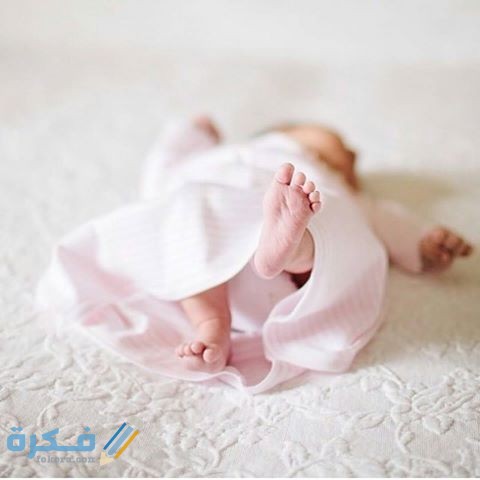 13597786 158144334589179 906272478 n