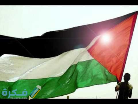 خلفيات علم فلسطين 2021