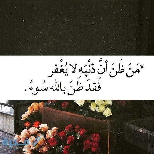 17199655012 f737e94c41