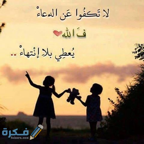 33640469915 44346677a1