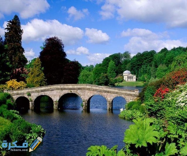 بداية دراسة العلوم الطبيعية