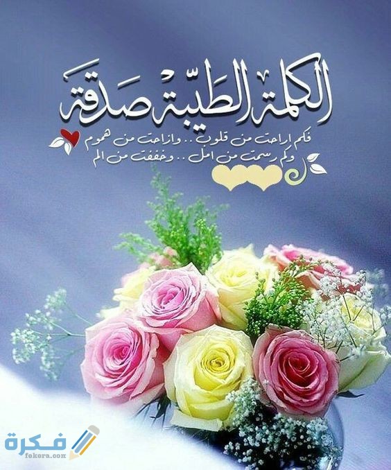 6afe99198a3df29a32eb544bc1c547e1